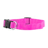 FP-COL-1 - Fuchsia FP-COL-1 - Fuchsia