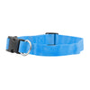 FP-COL-1 - P Blue FP-COL-1 - P Blue