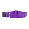 FP-COL-1 - Purple FP-COL-1 - Purple