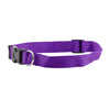 FP-COL-34 - Purple FP-COL-34 - Purple