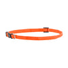 FP-COL-38 - Orange FP-COL-38 - Orange