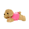 PLUSH26 - G Lab PLUSH26 - G Lab