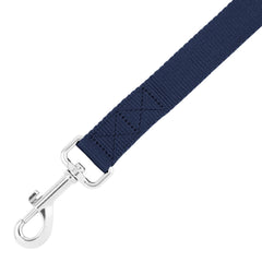 DLP-1 - D Blue