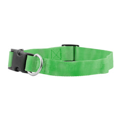 FP-COL-1 - K Green