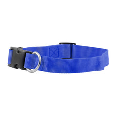 FP-COL-1 - R Blue