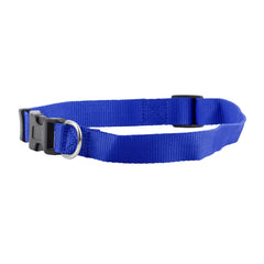 FP-COL-34 - R Blue