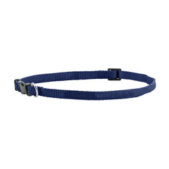 FP-COL-38 - D Blue