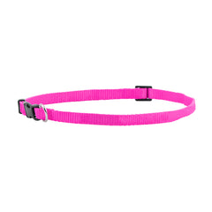FP-COL-38 - Fuchsia
