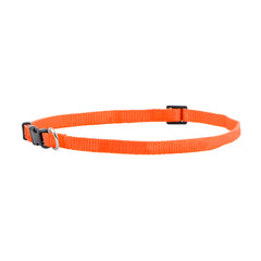 FP-COL-38 - Orange