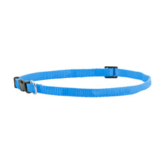 FP-COL-38 - P Blue