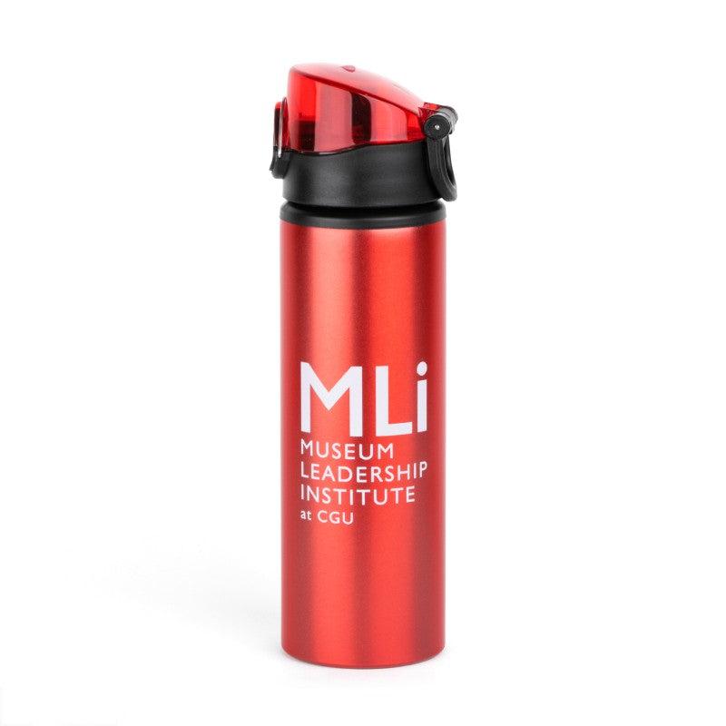 AL25-1 | 25 oz. Flip Aluminum Water Bottle (1 Color Imprint)