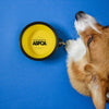 CPB-SM | Small Collapsible Pet Bowl